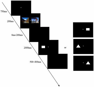 The Different Inhibition of Return (IOR) Effects of Emergency Managerial Experts and Novices: An Event-Related Potentials Study